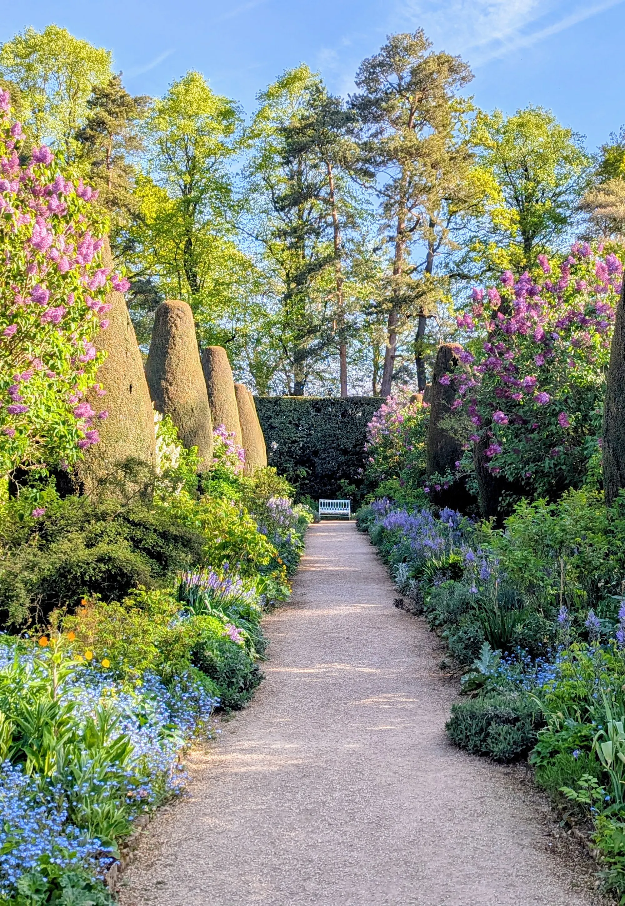 The Long Borders at Hidcote © National Trust Images