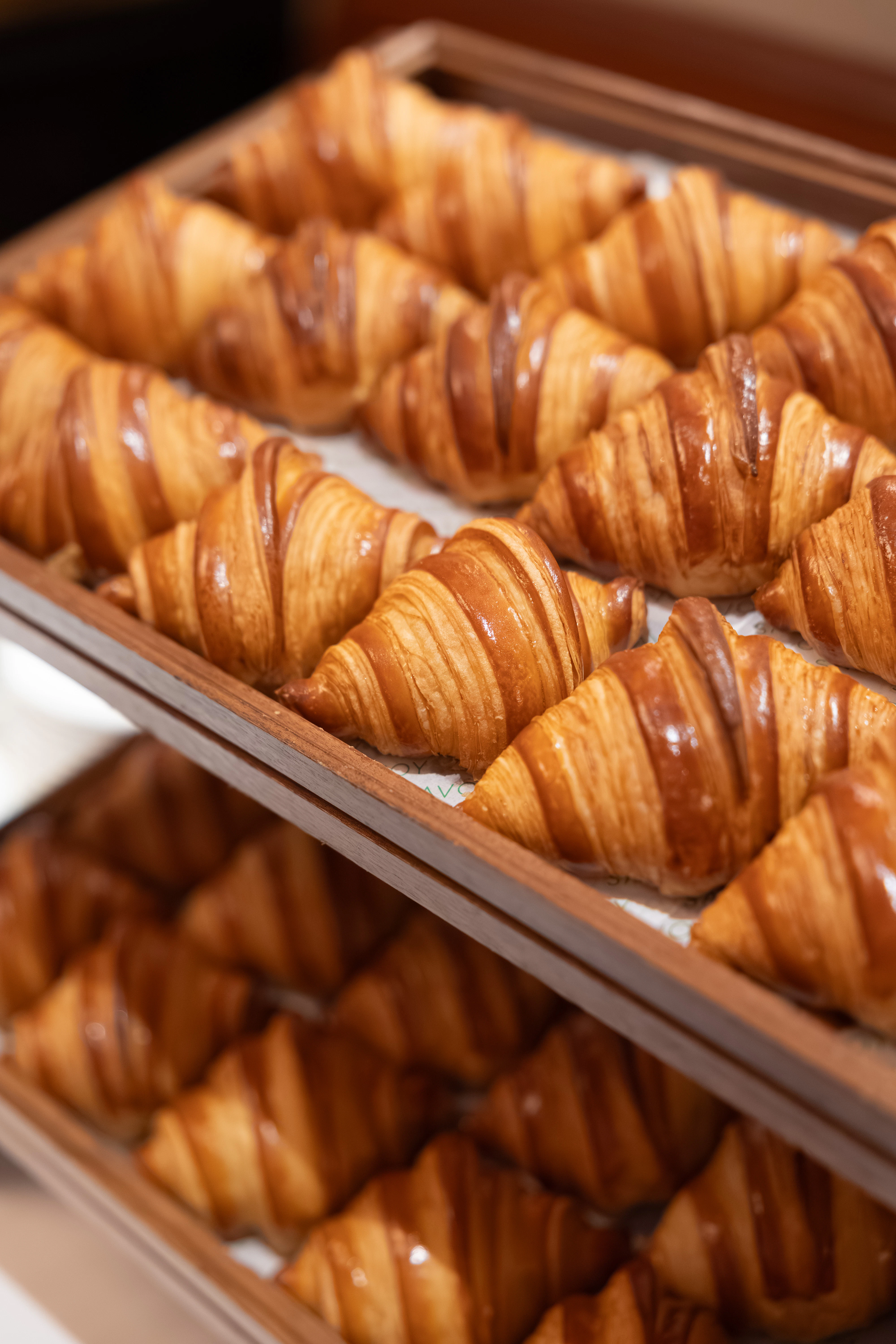 Baking tray filled with rows of golden, freshly baked croissants.